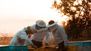 Dan odprtih vrat slovenskih čebelarjev