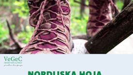 Nordijska hoja