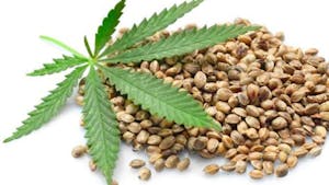 PREDAVANJE - KONOPLJA ZA ZDRAVJE