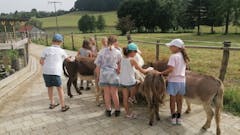 Sobotne urice z živalmi za najmlajše