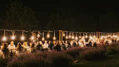 dolga miza med sivko