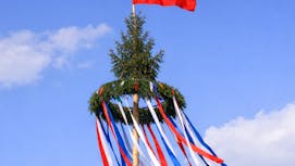 Postavitev majskega drevesa