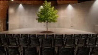 Kultura in trajnost - kje smo in kam gremo