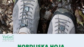 Nordijska hoja