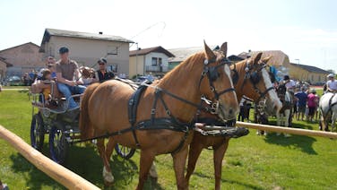 Tradicionalno žegnanje konj v Župečji vasi