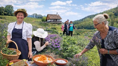 Postani zeliščar za en dan, butično doživetje