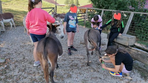 Dekla in hlapec za en dan