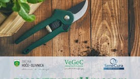 Praktična delavnica Zasaditev zelišč in sadik