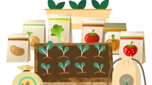 Pomladno druženje na Pohorski tržnici