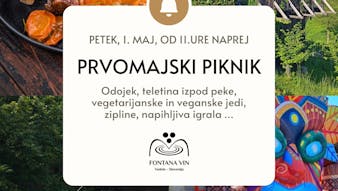 PRVOMAJSKI PIKNIK NA FONTANI VIN