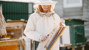 Delavnica: Priprava opreme za točenje medu in prikaz narejencev