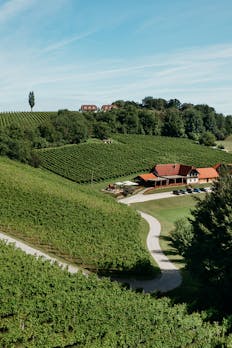 Turistična kmetija Lovrec