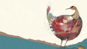 Ptice pojejo – vabljeni na literarni večer z Metko Lipnik