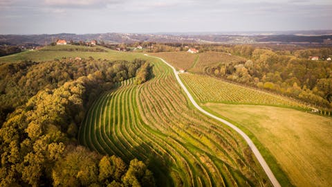 Spomladanska Pot na Mestni Vrh: dan odprtih vrat
