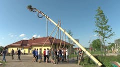 Postavitev majskega drevesa v Račah