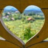 Brez avta po Štajerski