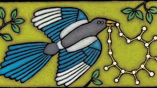 Lila Prap: DINOZAVRI, PTIČI, ZMAJI in KURE