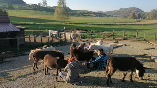 Voden ogled posestva in druženje z živalmi
