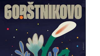 Festival Borštnikovo srečanje 2025