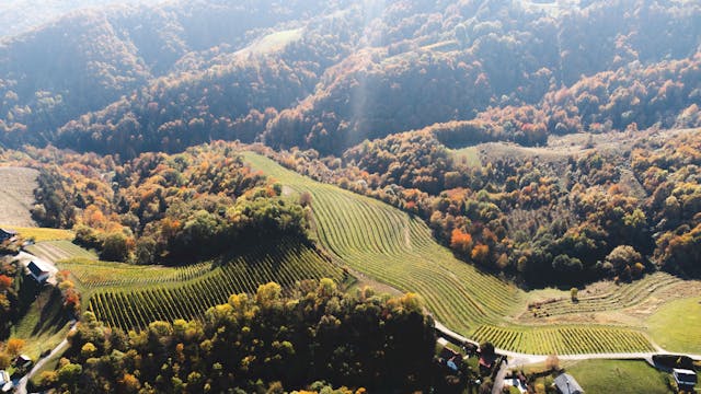 DAN ODPRTIH KLETI 2026