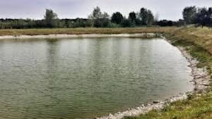 Ribiško tekmovanje ob prazniku dela, pokal Foog