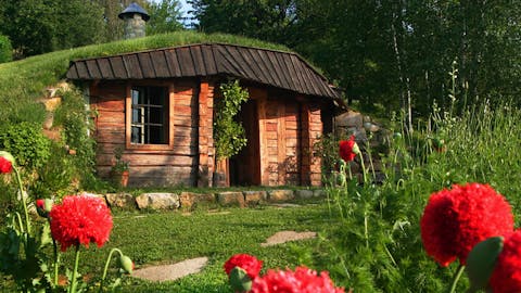Čajnica Kolarič