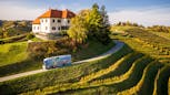 Odprtje razstave fotografij Marka Vindiša Med Halozami in Ptujem