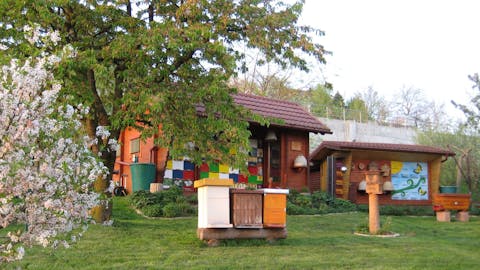 Čebelarstvo Vogrinčič