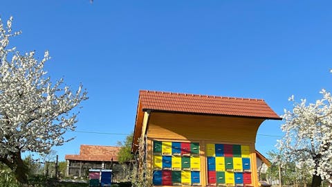Ćebelarstvo Šerod