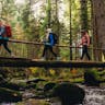 Pohorje - Kozjak trail