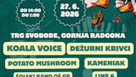 Festival glasbe in piva