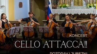 Koncert violončelistov Pozdrav ljubezni