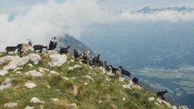 Letni kino Minoriti: Drežniška koza in njeni ljudje & Na drugi strani plinovoda