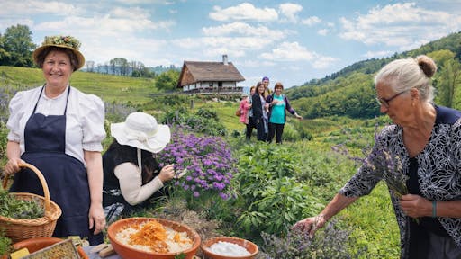 Postani zeliščar za en dan v Muzeju na prostem Rogatec