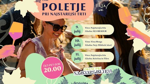 Poletje pri Najstarejši trti #1
