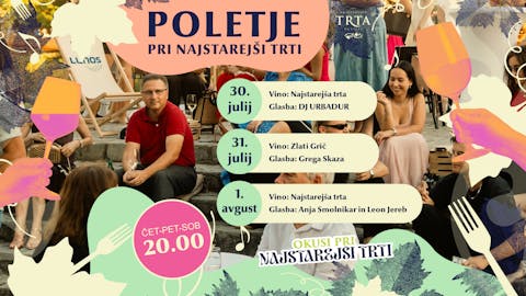 Poletje pri Najstarejši trti #4
