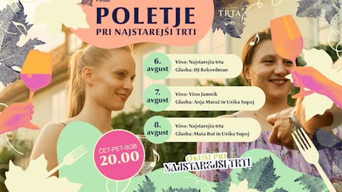 Poletje pri Najstarejši trti #5