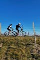 Winebike