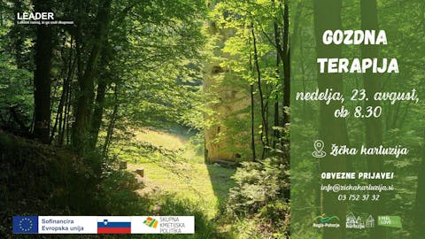 Gozdna terapija