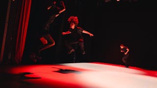 April Veselko (SI): Dinamo