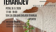 Delavnica rastlinskih terarijev