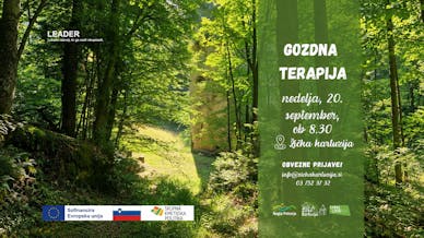 Gozdna terapija