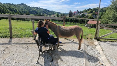 Petkova sprostitev med oslički za odrasle