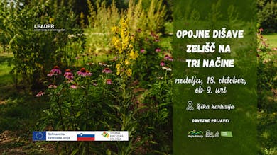 Opojne dišave zelišč na tri načine