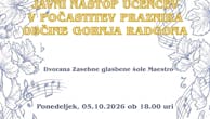 Javni nastop učencev v počastitev praznika občine Gornja Radgona