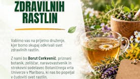 Druženje z zeliščarjem " V objemu zdravilnih rastlin"