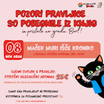 Maček Muri