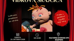 OTROŠKI ABONMA - VIDKOVA SRAJČICA Gledališča FRU FRU