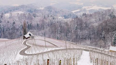 srce-med-vinogradi-pozimi_svecina-spicnik_maribor_pohorje_slovenija_slovenia_shutterstock_rok-breznik