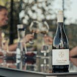 chardonnay sanctum